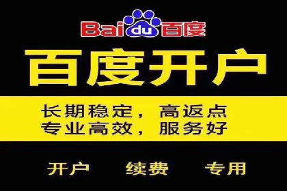 网络营销实战：成功竞价推广案例分析